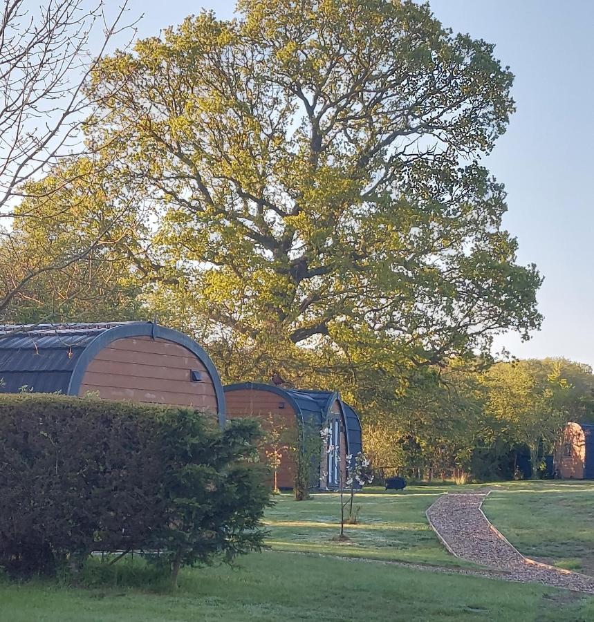 Oak Lodge Pods โลเวสทอฟต์ ภายนอก รูปภาพ